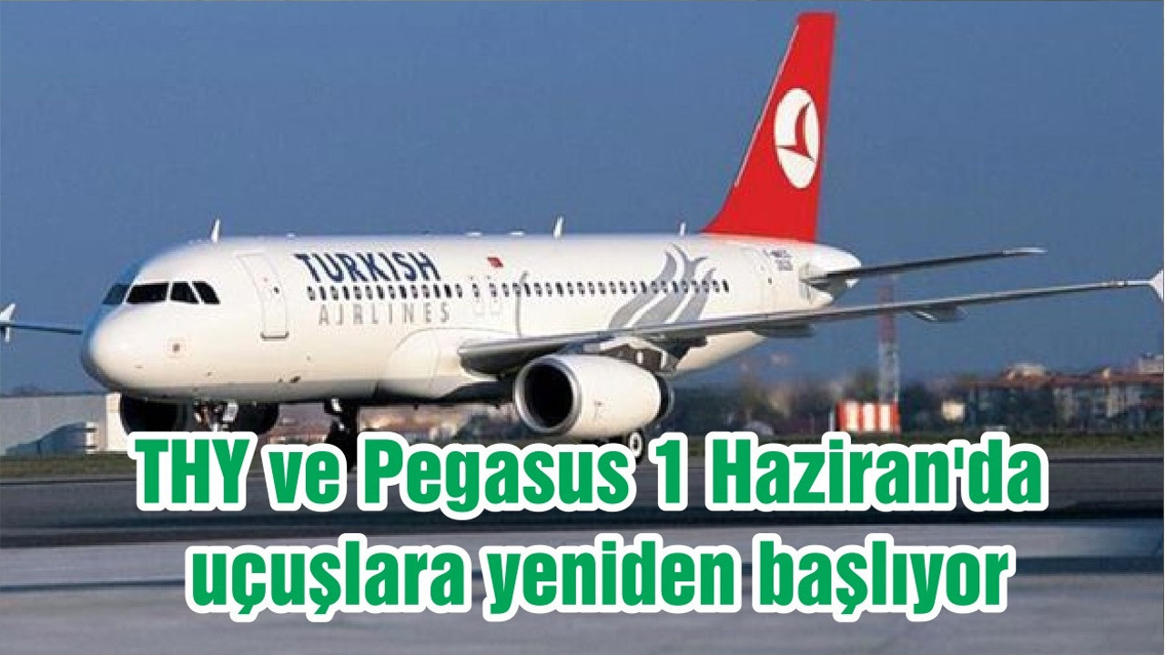 THY ve Pegasus 1 Haziran'da uçuşlara yeniden başlıyor