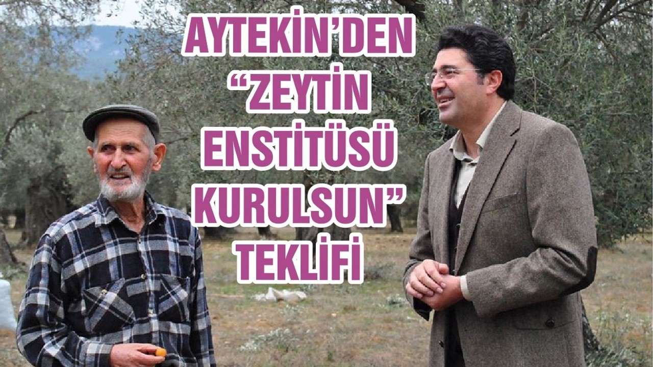 AYTEKİN’DEN “ZEYTİN ENSTİTÜSÜ KURULSUN” TEKLİFİ