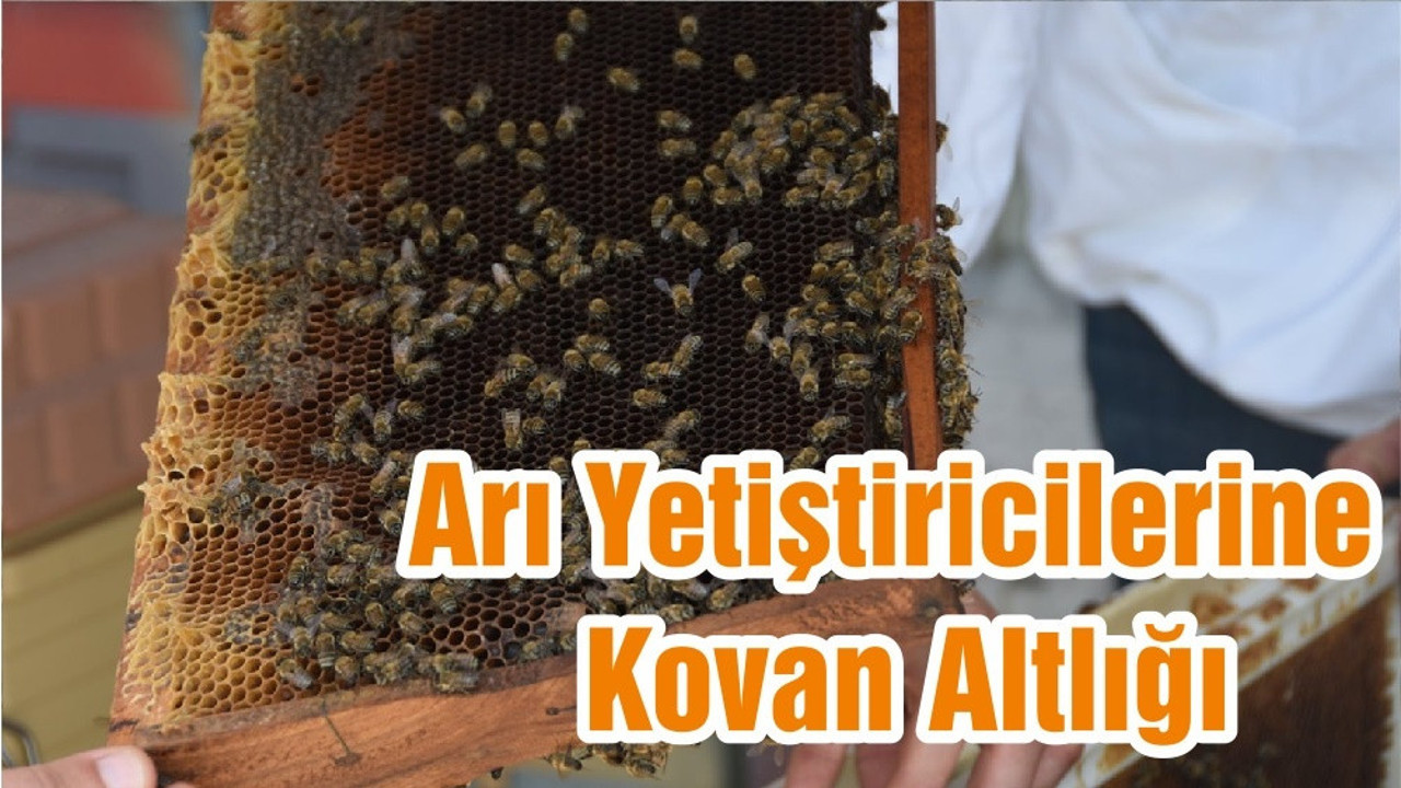 Arı Yetiştiricilerine Kovan Altlığı