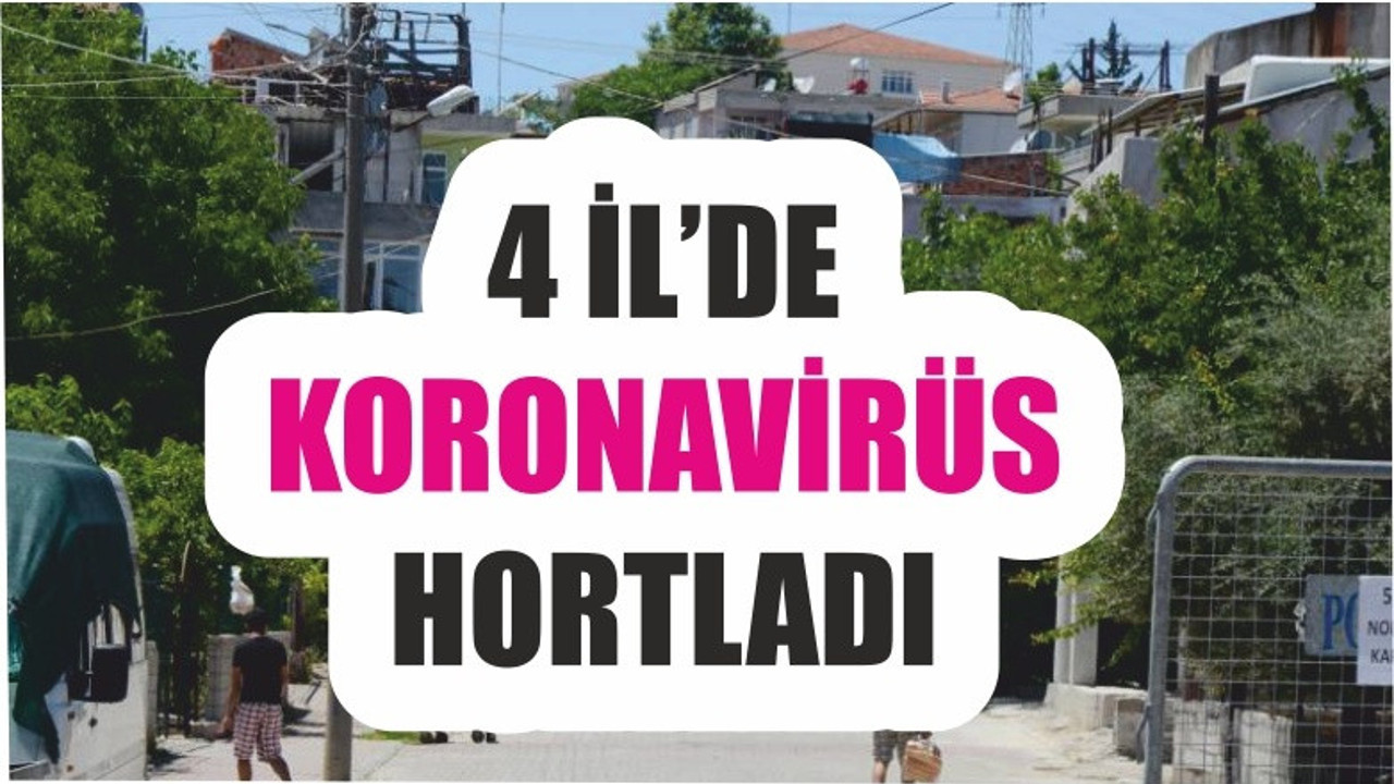 Dört İlde Koronavirüs Alarmı