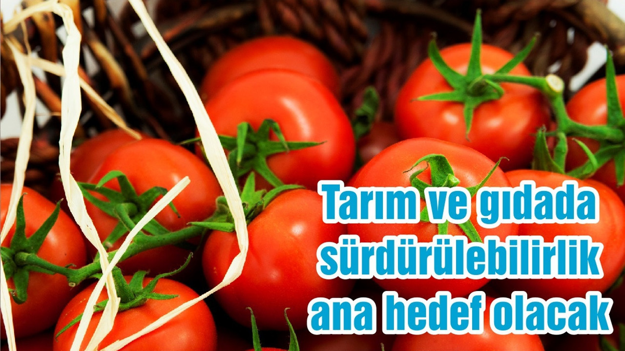 Tarım ve gıdada sürdürülebilirlik ana hedef olacak
