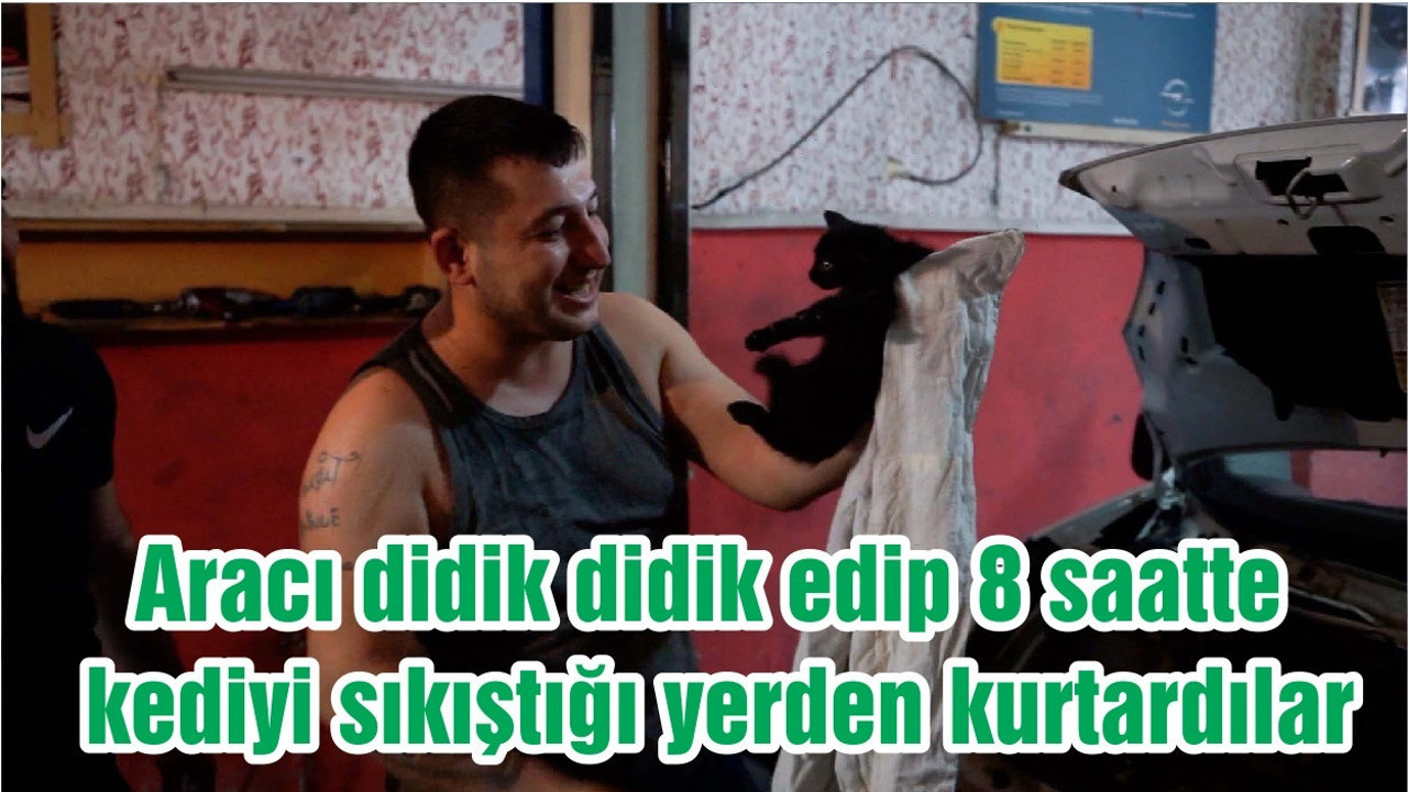 Aracı didik didik edip 8 saatte kediyi sıkıştığı yerden kurtardılar