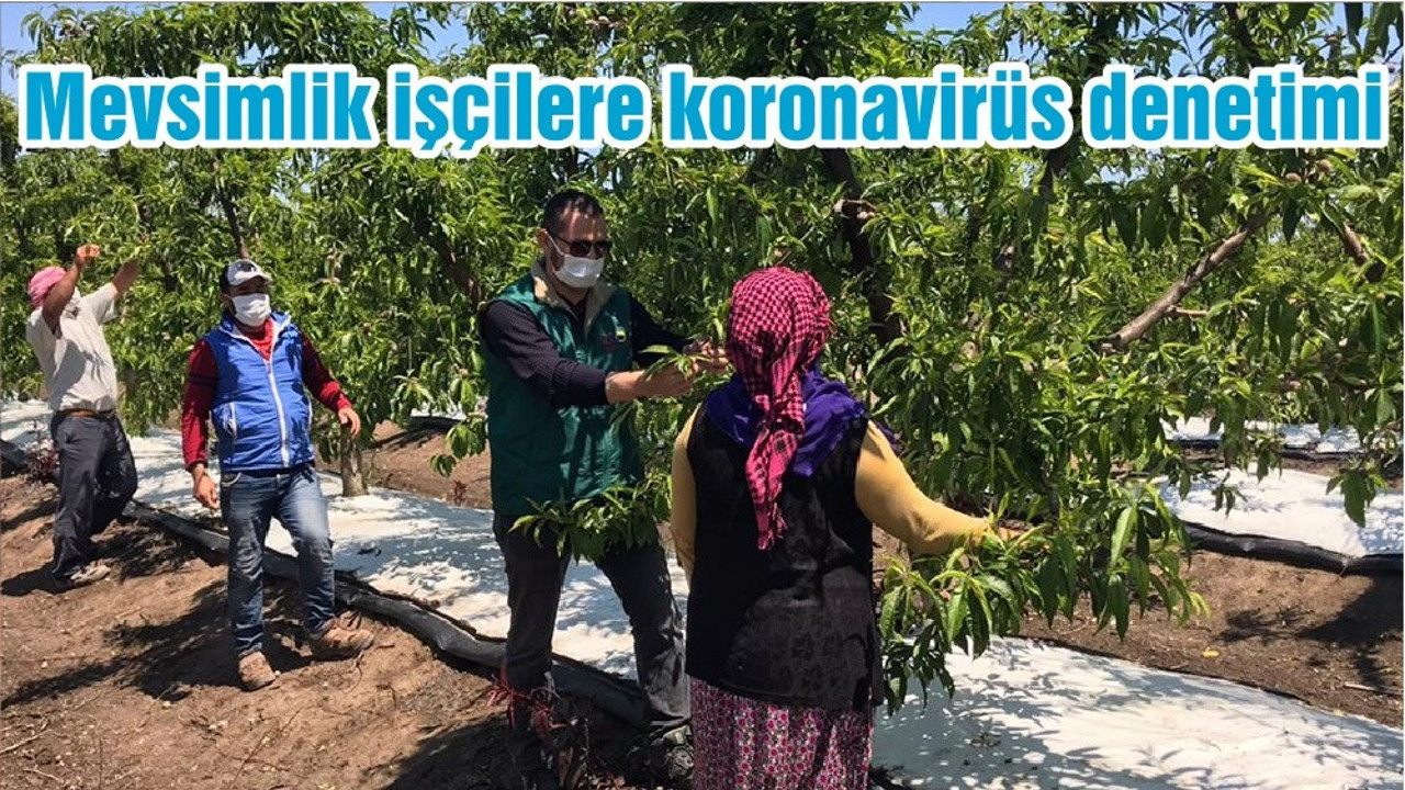 Mevsimlik işçilere koronavirüs denetimi