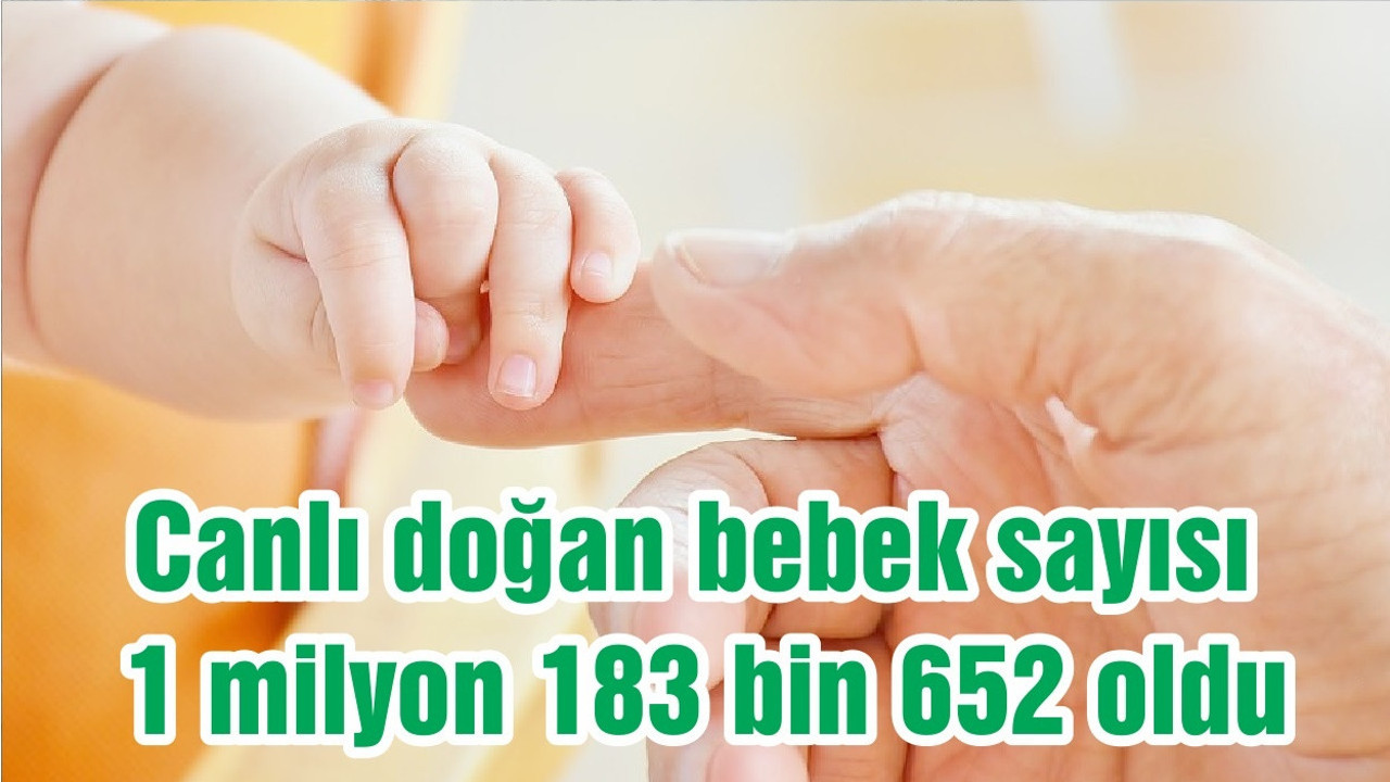 Canlı doğan bebek sayısı 1 milyon 183 bin 652 oldu