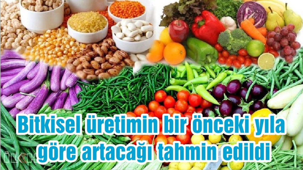Bitkisel üretimin bir önceki yıla göre artacağı tahmin edildi