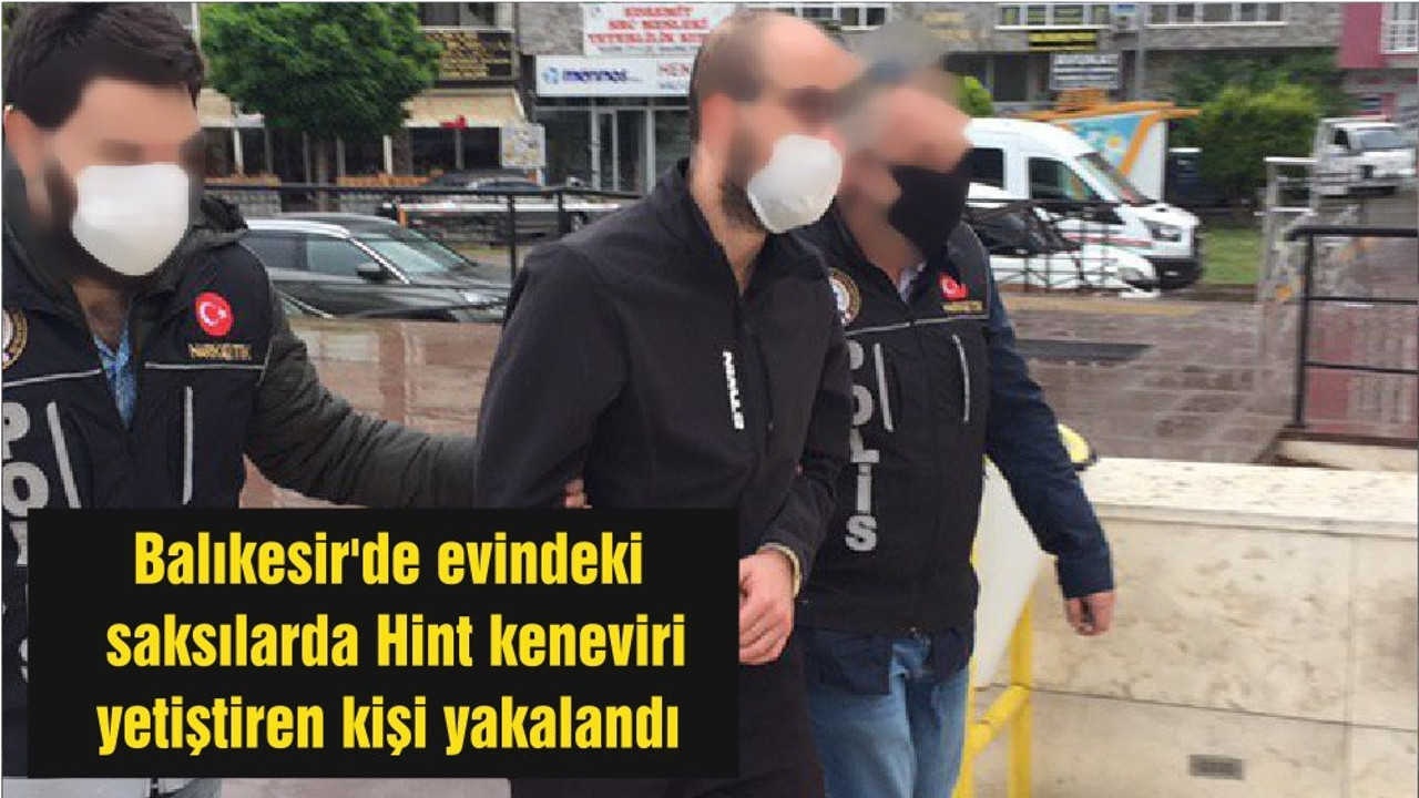 Balıkesir'de evindeki saksılarda Hint keneviri yetiştiren kişi yakalandı