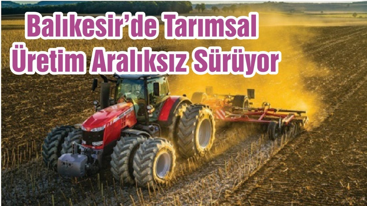 Balıkesir’de Tarımsal Üretim Aralıksız Sürüyor