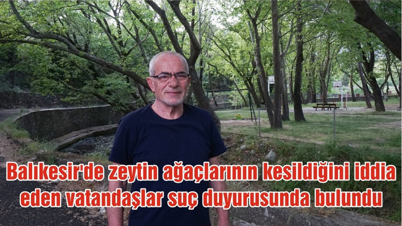 Balıkesir'de zeytin ağaçlarının kesildiğini iddia eden vatandaşlar suç duyurusunda bulundu