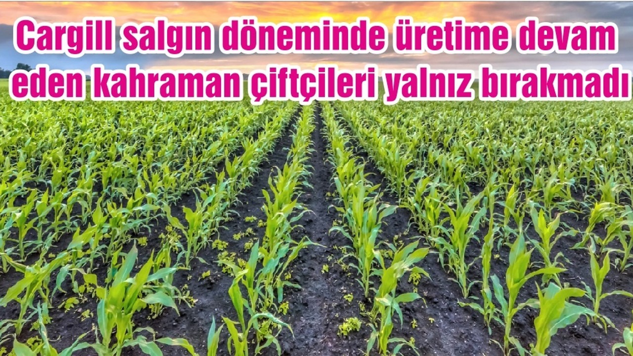 Cargill salgın döneminde üretime devam eden kahraman çiftçileri yalnız bırakmadı