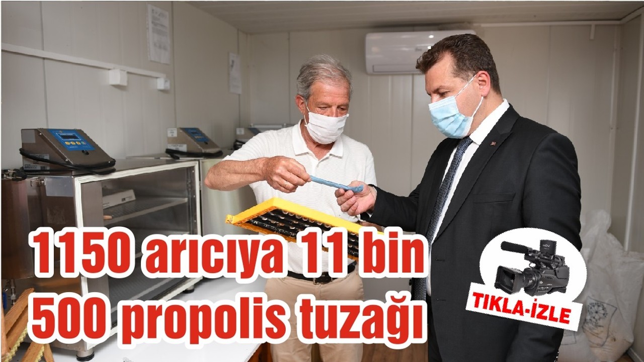 1150 arıcıya 11 bin 500 propolis tuzağı