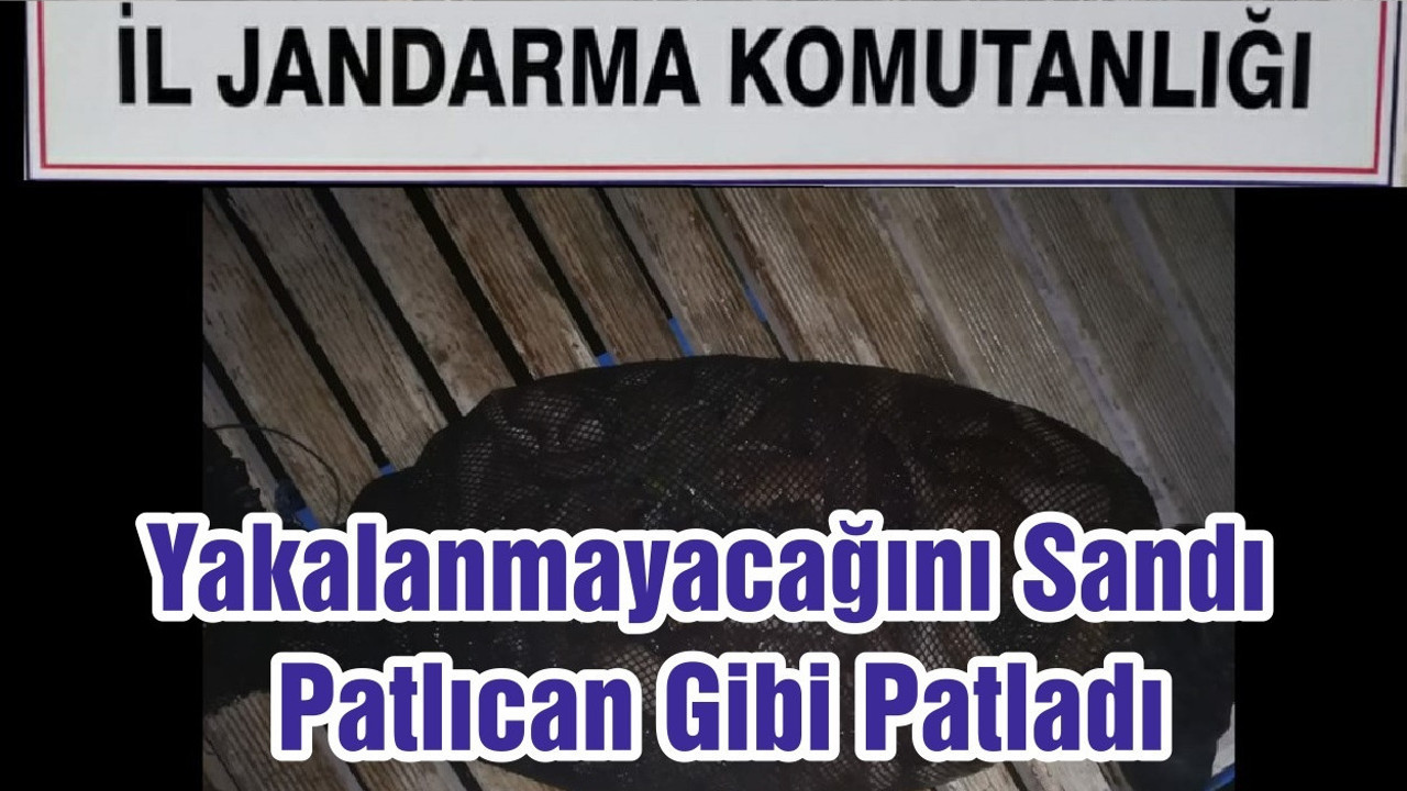 Yakalanmayacağını Sandı Patlıcan Gibi Patladı
