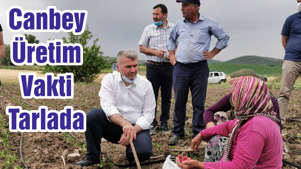 Canbey Üretim Vakti Tarlada