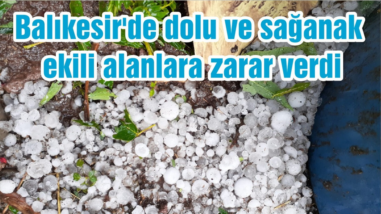 Balıkesir'de dolu ve sağanak ekili alanlara zarar verdi