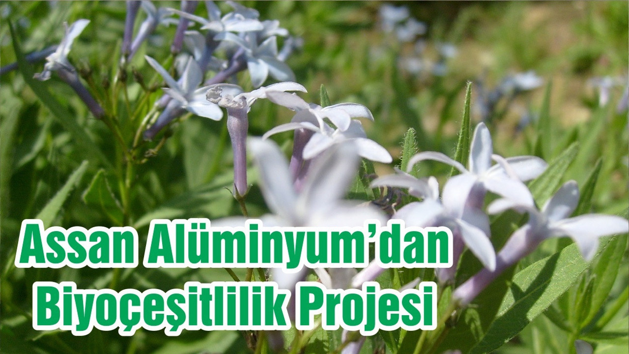 Assan Alüminyum’dan Biyoçeşitlilik Projesi