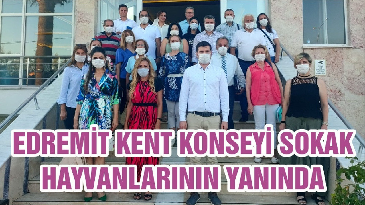 EDREMİT KENT KONSEYİ SOKAK HAYVANLARININ YANINDA