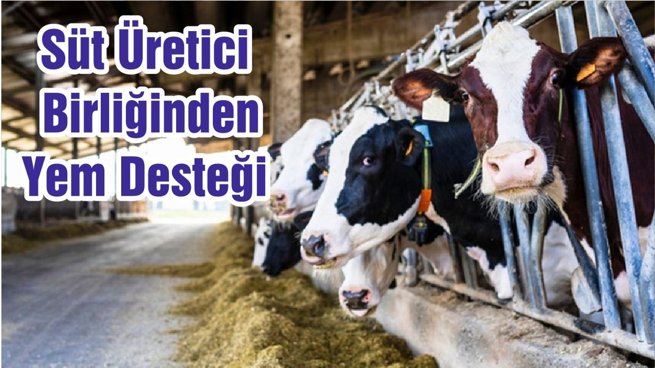 Süt Üretici Birliğinden Yem Desteği
