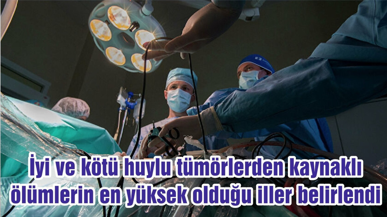 İyi ve kötü huylu tümörlerden kaynaklı ölümlerin en yüksek olduğu iller belirlendi