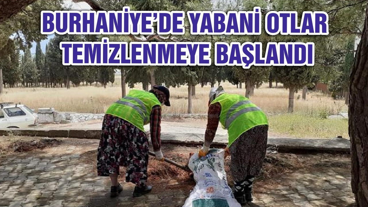 BURHANİYE’DE YABANİ OTLAR TEMİZLENMEYE BAŞLANDI