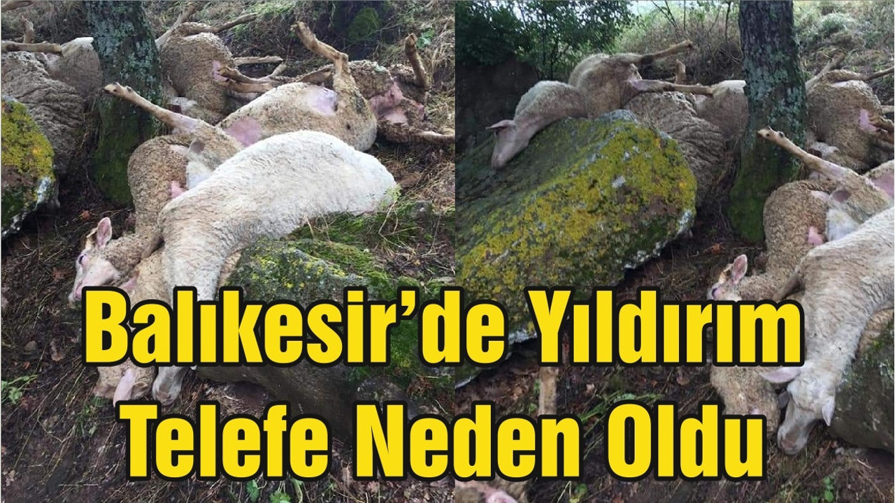 Balıkesir’de Yıldırım Telefe Neden Oldu