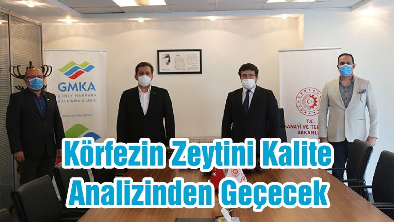 Körfezin Zeytini Kalite Analizinden Geçecek
