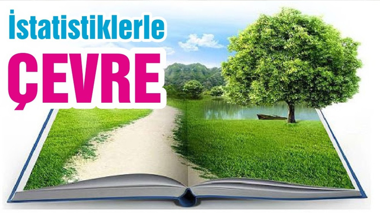 İstatistiklerle Çevre