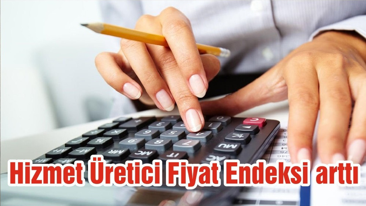 Hizmet Üretici Fiyat Endeksi arttı