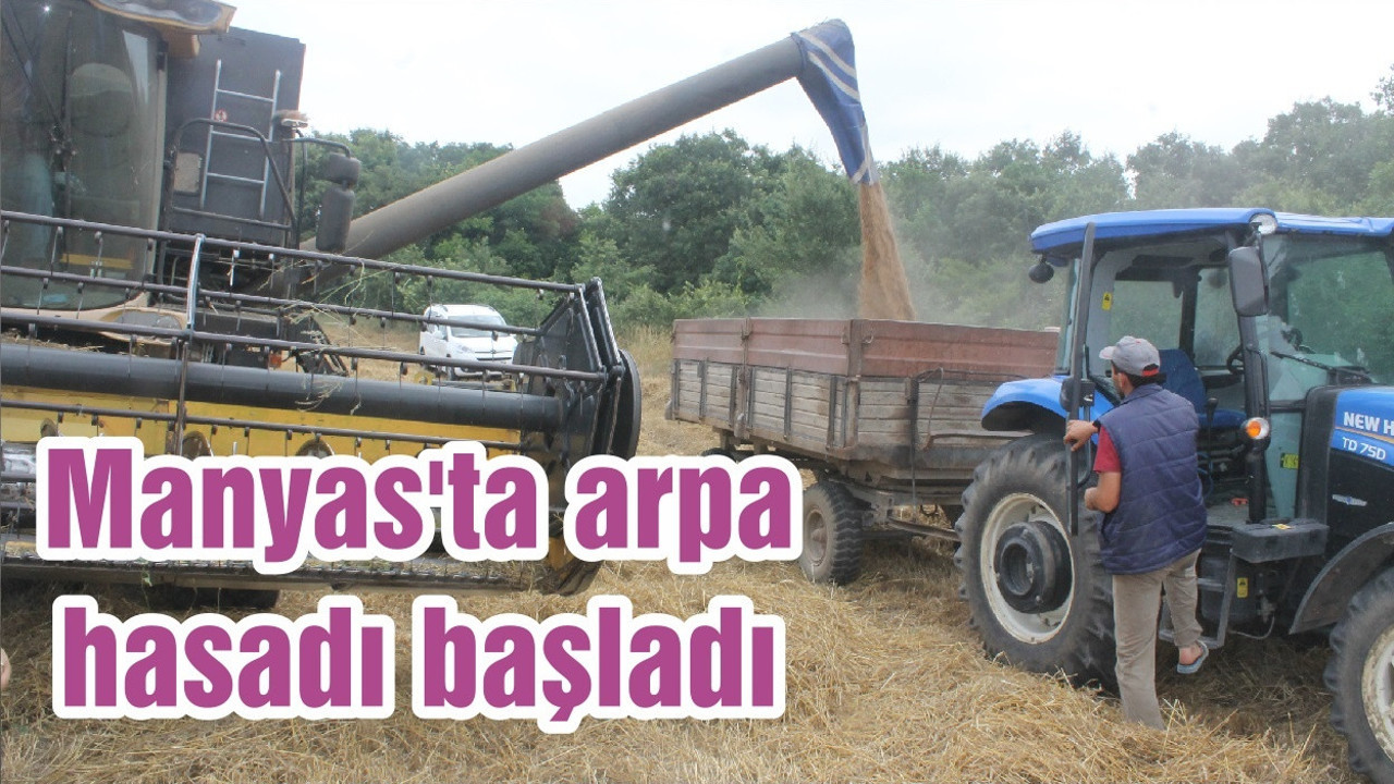 Manyas'ta arpa hasadı başladı