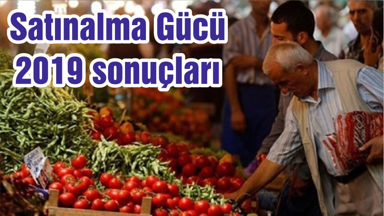Satınalma Gücü 2019 sonuçları