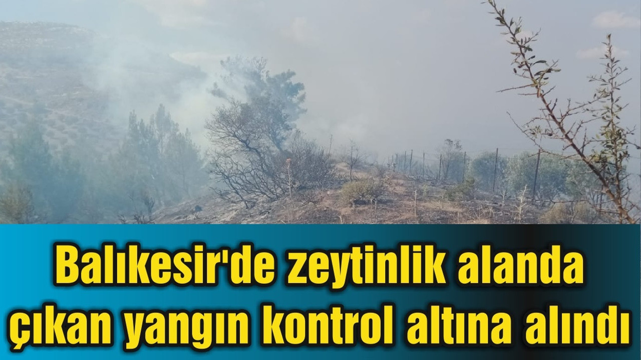 Balıkesir'de zeytinlik alanda çıkan yangın kontrol altına alındı