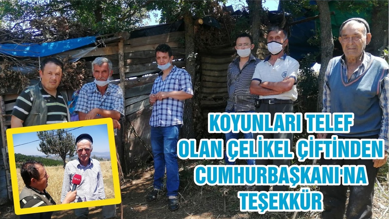 KOYUNLARI TELEF OLAN ÇELİKEL ÇİFTİNDEN CUMHURBAŞKANI'NA TEŞEKKÜR