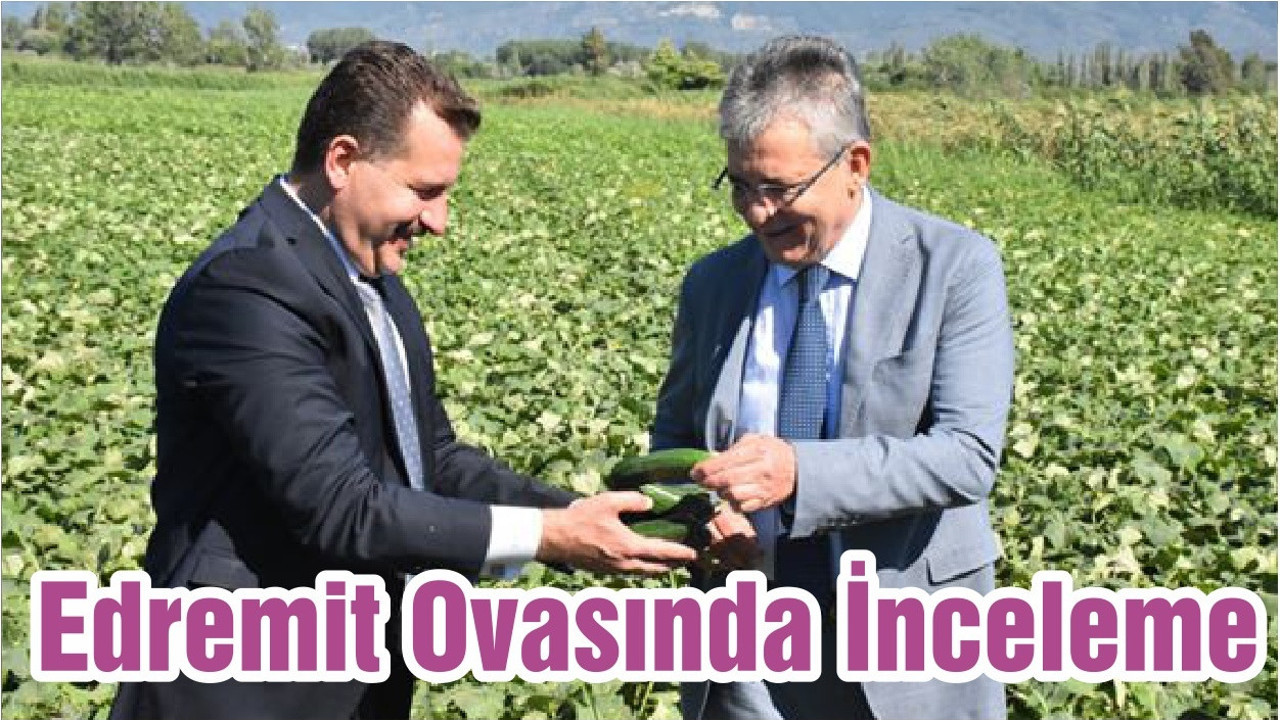 Edremit Ovasında İnceleme
