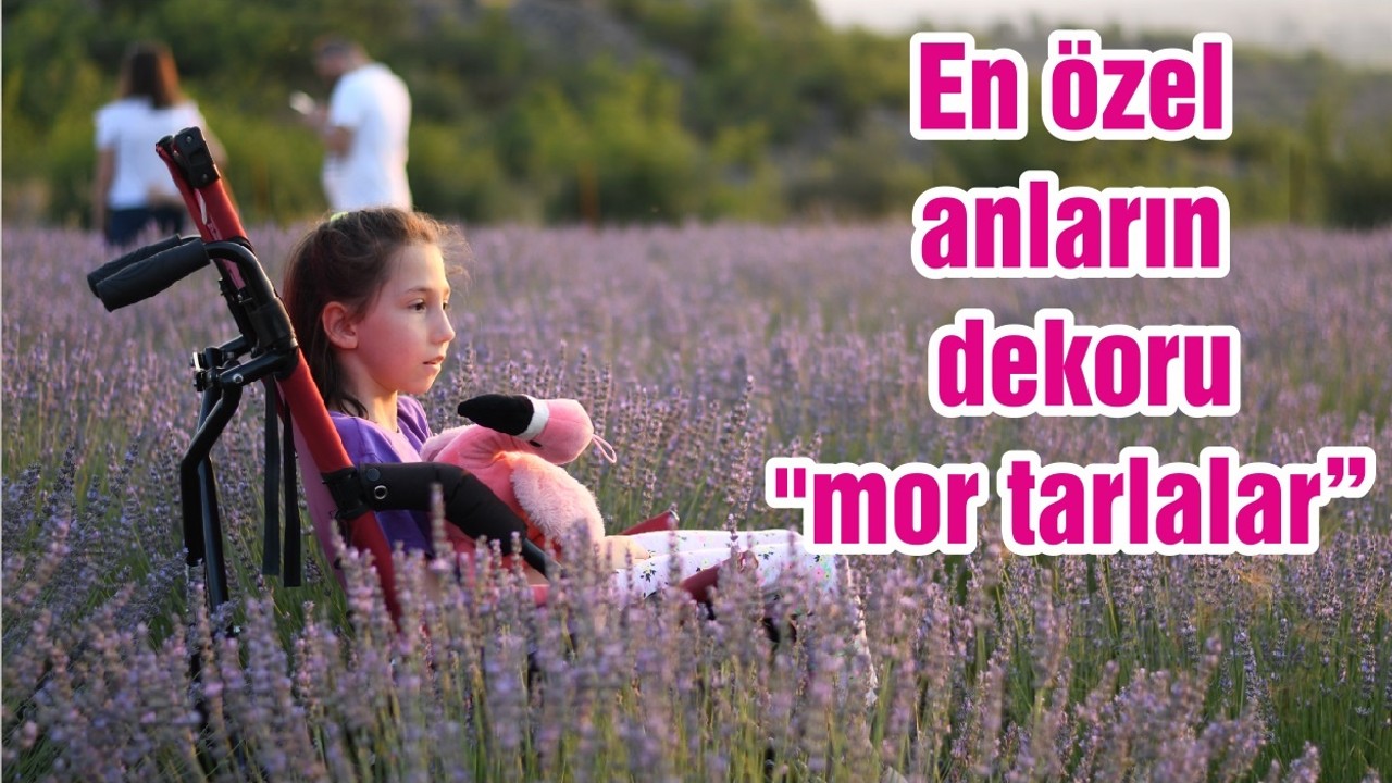 En özel anların dekoru "mor tarlalar"