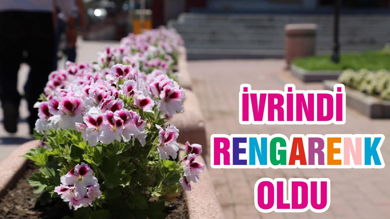 İVRİNDİ RENGARENK OLDU