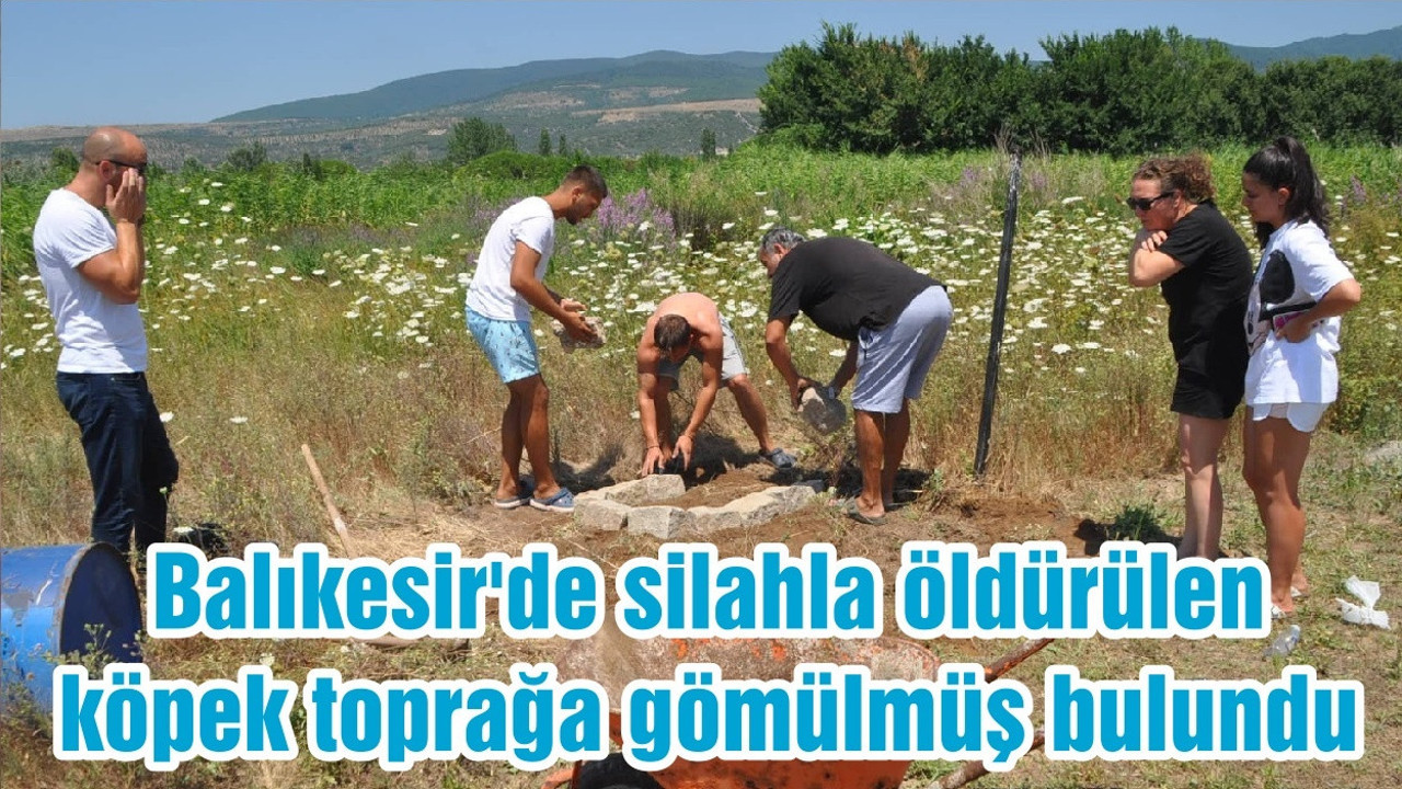 Balıkesir'de silahla öldürülen köpek toprağa gömülmüş bulundu
