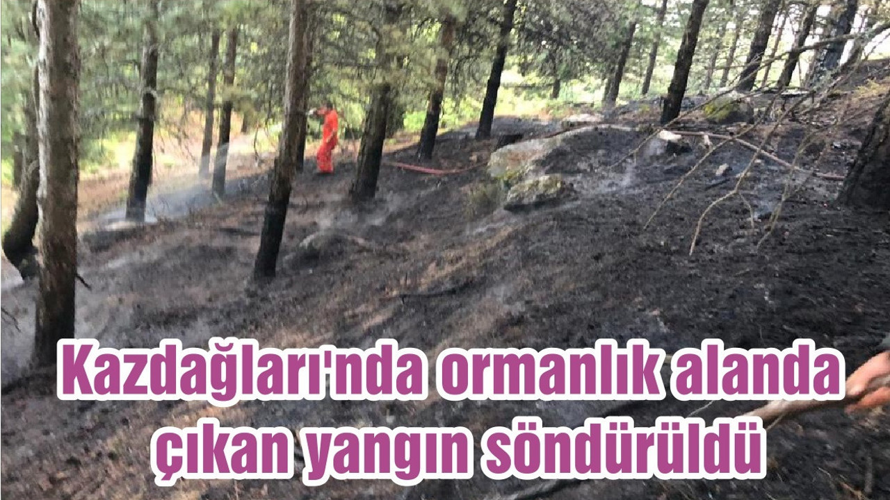 Kazdağları'nda ormanlık alanda çıkan yangın söndürüldü