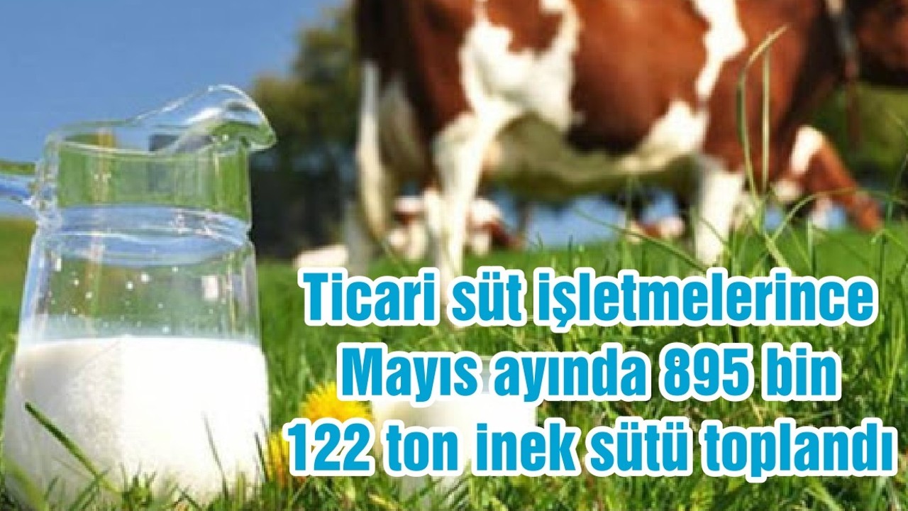 Ticari süt işletmelerince Mayıs ayında 895 bin 122 ton inek sütü toplandı