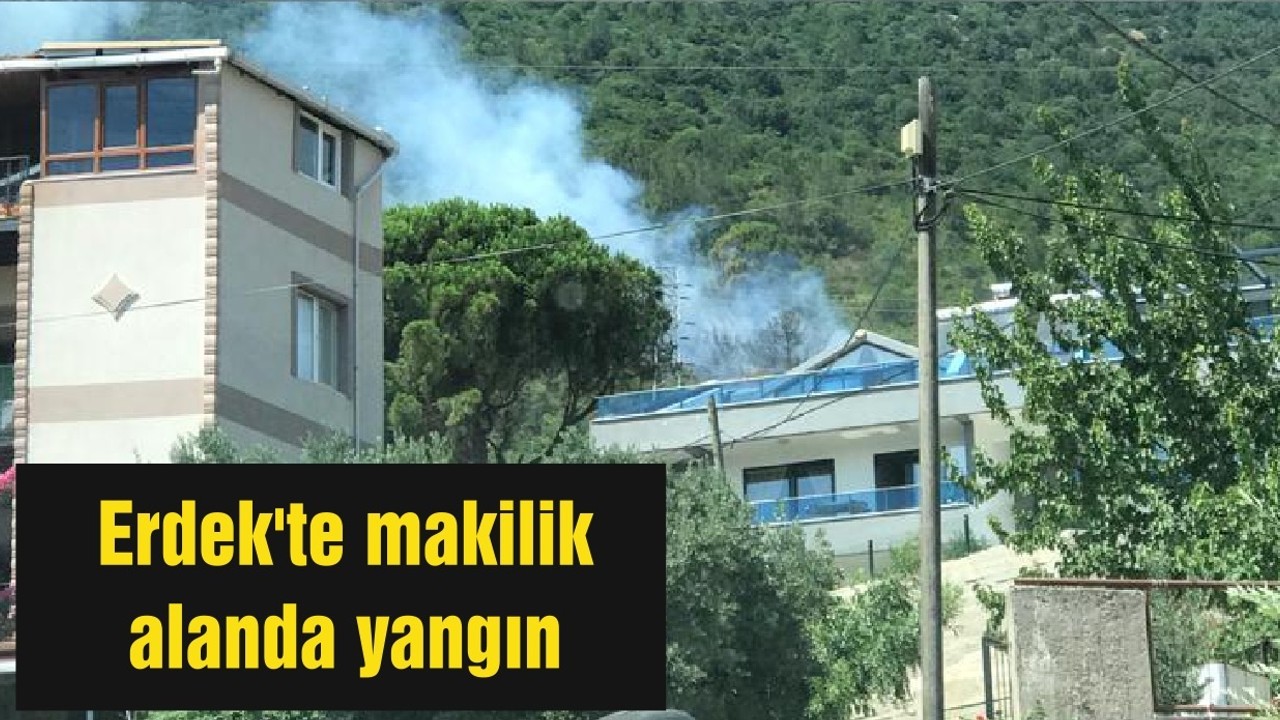 Erdek'te makilik alanda yangın