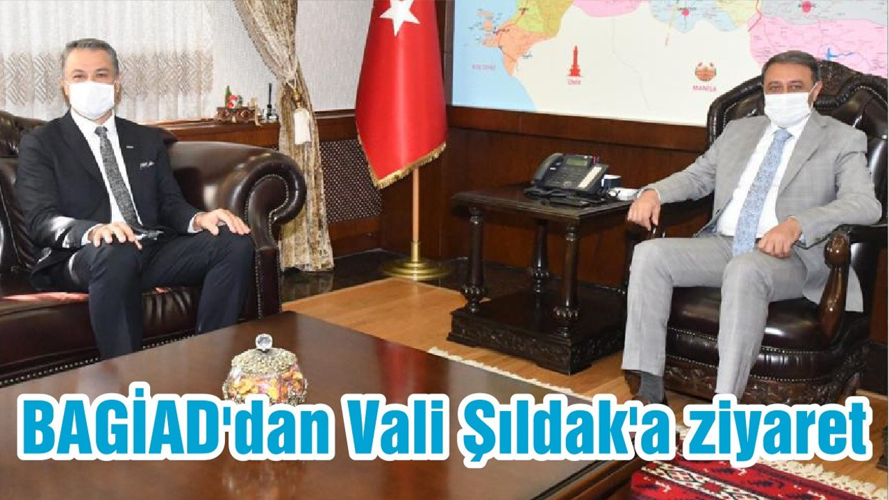 BAGİAD'dan Vali Şıldak'a ziyaret