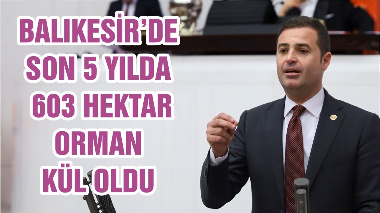 BALIKESİR’DE SON 5 YILDA 603 HEKTAR ORMAN KÜL OLDU