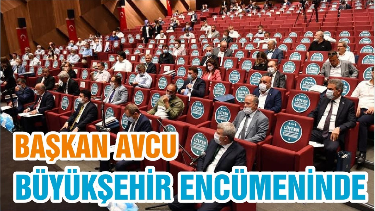 BAŞKAN AVCU, BÜYÜKŞEHİR ENCÜMENİNDE