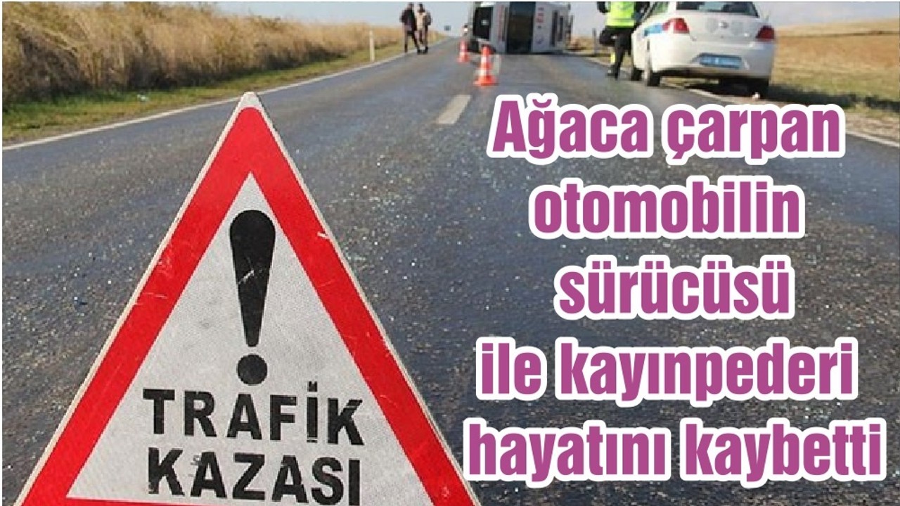 Ağaca çarpan otomobilin sürücüsü ile kayınpederi hayatını kaybetti
