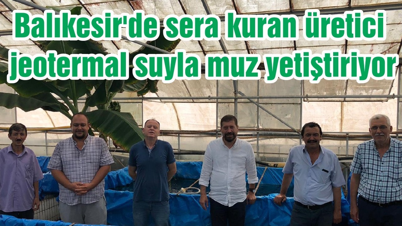 Balıkesir'de sera kuran üretici jeotermal suyla muz yetiştiriyor
