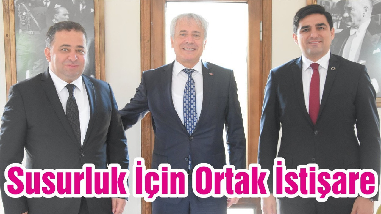 Susurluk İçin Ortak İstişare
