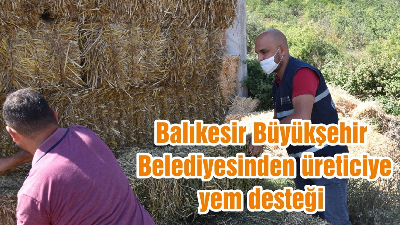Balıkesir Büyükşehir Belediyesinden üreticiye yem desteği