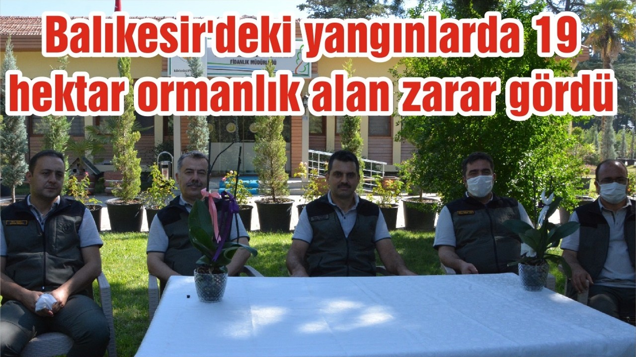 Balıkesir'deki yangınlarda 19 hektar ormanlık alan zarar gördü