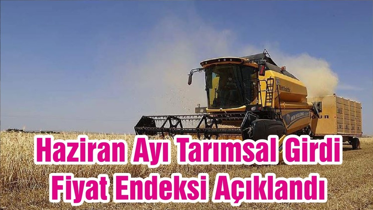 Haziran Ayı Tarımsal Girdi Fiyat Endeksi Açıklandı
