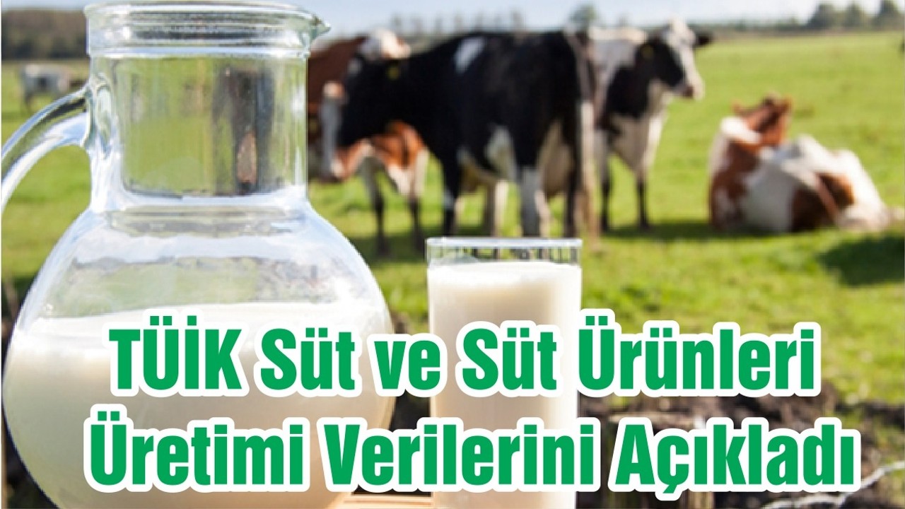 TÜİK Süt ve Süt Ürünleri Üretimi Verilerini Açıkladı