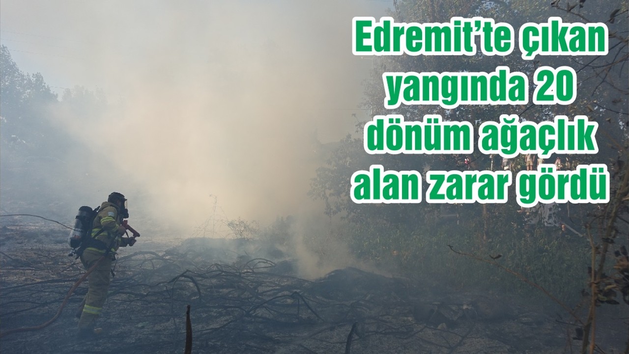 Balıkesir'in Edremit ilçesinde çıkan yangında 20 dönüm ağaçlık alan zarar gördü