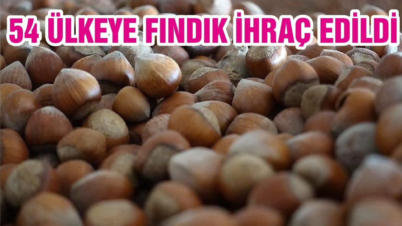 54 ÜLKEYE FINDIK İHRAÇ EDİLDİ