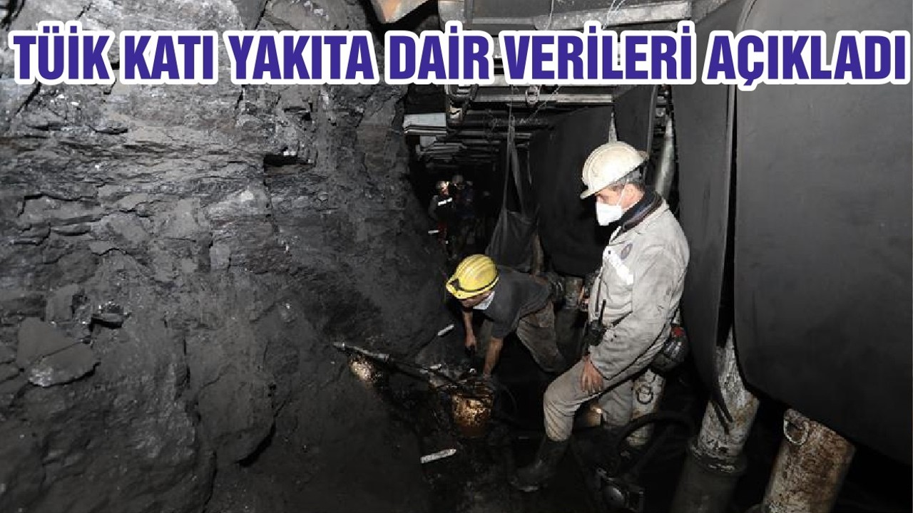 TÜİK KATI YAKITA DAİR VERİLERİ AÇIKLADI